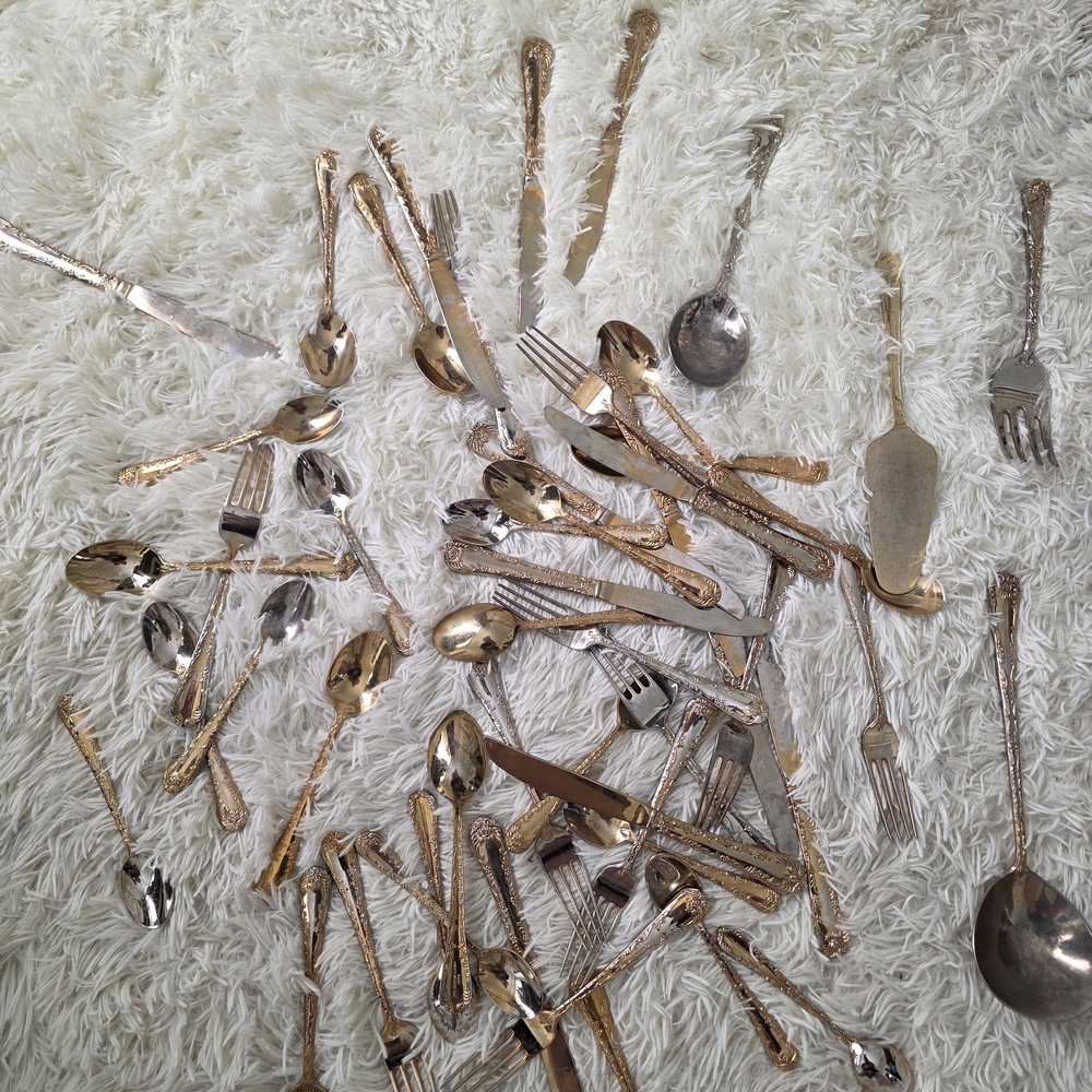 Vintage Flatware Collection W.M Rogers